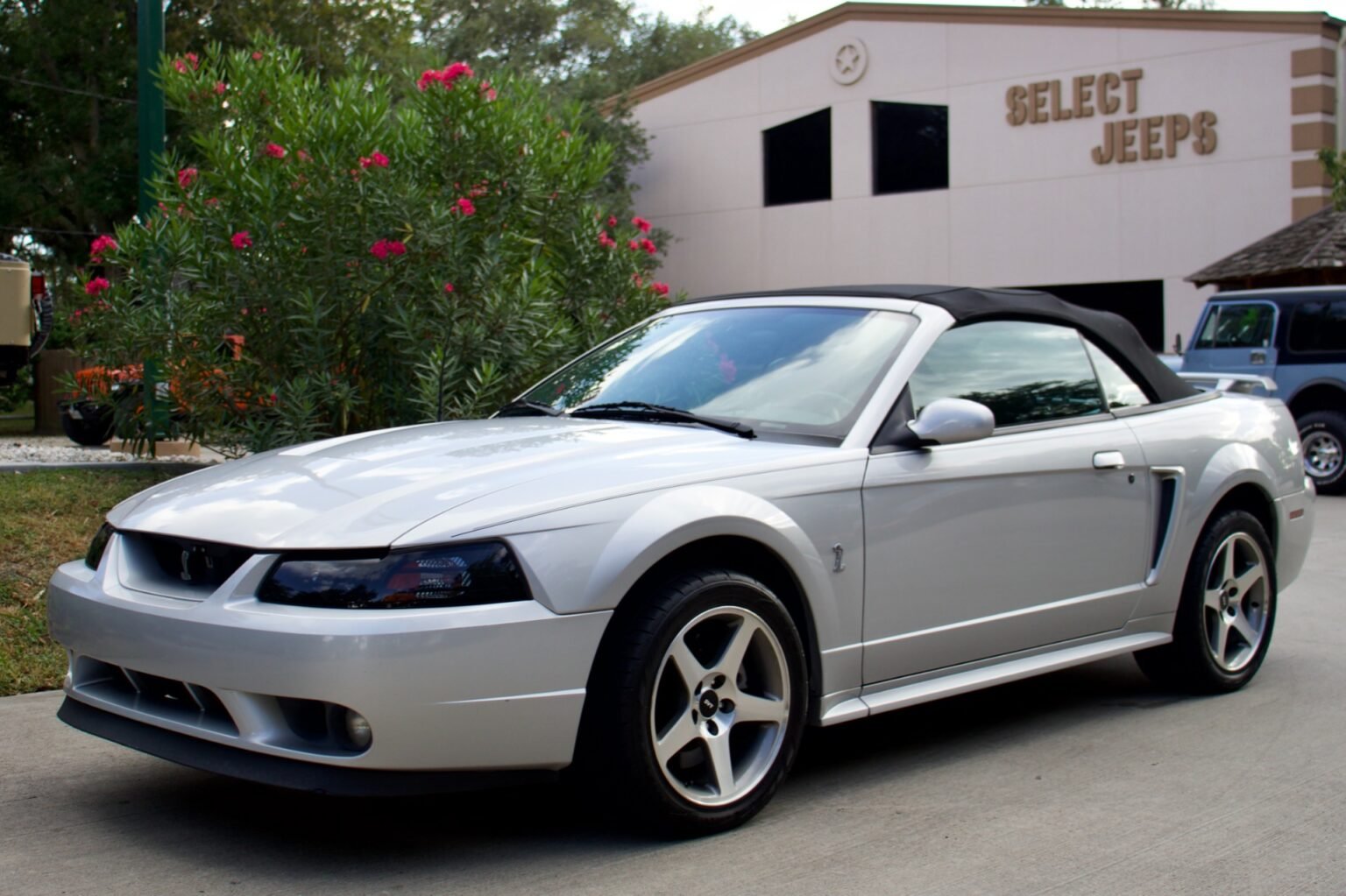 Fascinating 2001 Ford Mustang Cobra Horsepower Pictures
